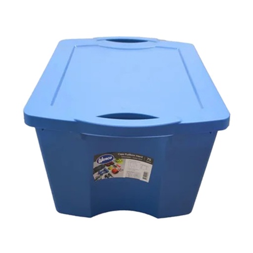 BAUL CAJA ORGANIZADORA PLASTICA 55 LITROS