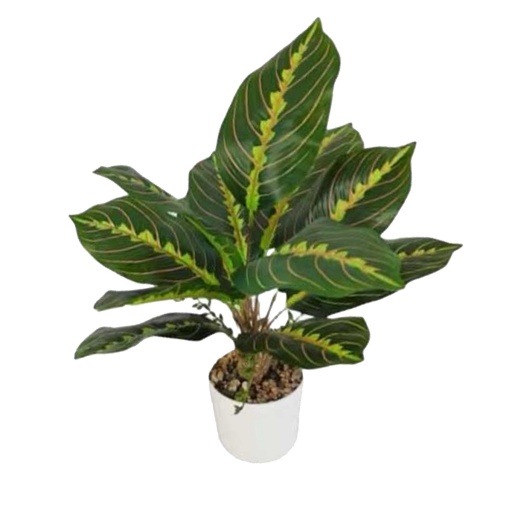 PLANTA ARTIFICIAL CALATEA COLOR 40 cm.