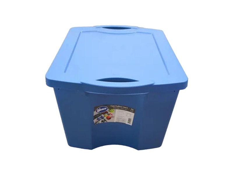 BAUL CAJA ORGANIZADORA PLASTICA 55 LITROS